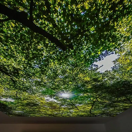 Lichtermeer 2